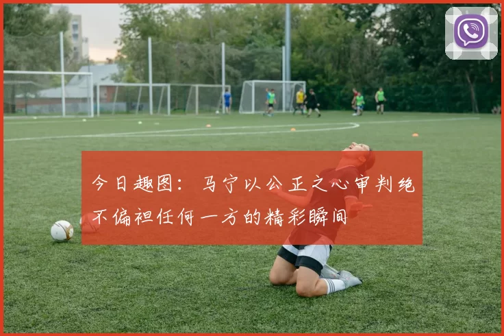 今日趣图：马宁以公正之心审判绝不偏袒任何一方的精彩瞬间