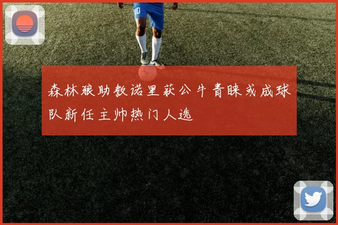 森林狼助教诺里获公牛青睐或成球队新任主帅热门人选